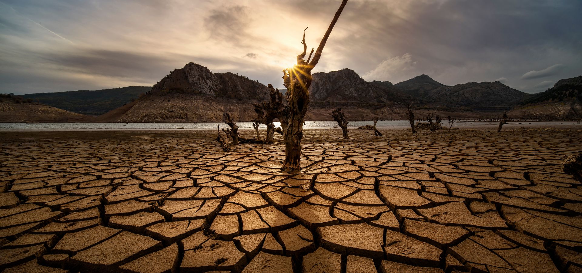 Emergenza siccita: l'acqua come tema di investimento