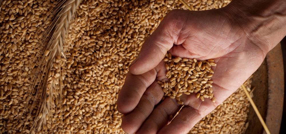 Investimento nelle materie prime