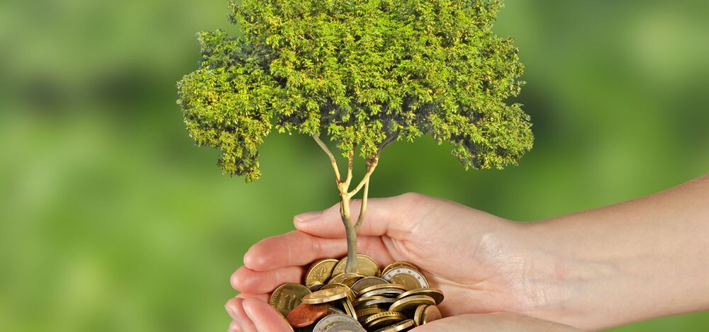 Perché è sempre più importante investire nella Sostenibilità