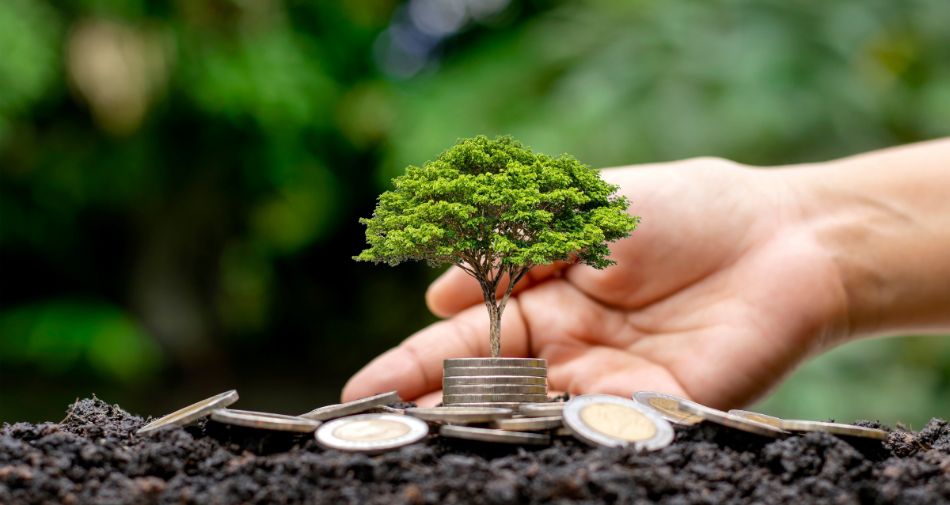 Relazione tra impact investing e rendimento finanziario
